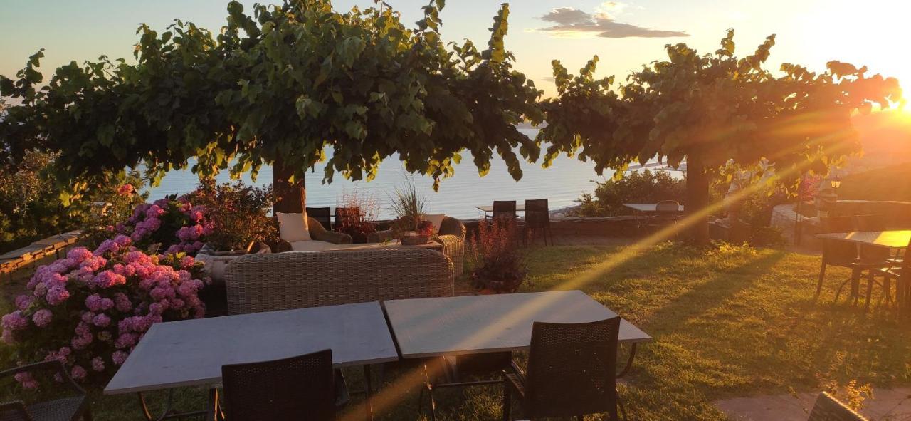 Olivenere Agriturismo Lavagna Kültér fotó
